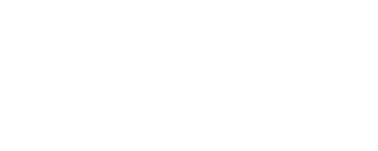 Taurus logo
