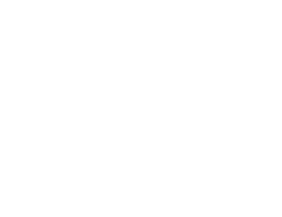 Emami logo